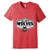Unisex Triblend Tee (same day) Thumbnail