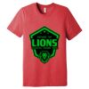 Unisex Triblend Tee (same day) Thumbnail