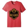 Unisex Triblend Tee (same day) Thumbnail