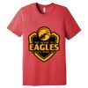 Unisex Triblend Tee (same day) Thumbnail