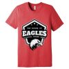 Unisex Triblend Tee (same day) Thumbnail