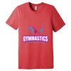 Unisex Triblend Tee (same day) Thumbnail