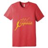 Unisex Triblend Tee (same day) Thumbnail