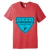 Unisex Triblend Tee (same day) Thumbnail