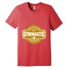 Unisex Triblend Tee (same day) Thumbnail