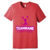 Unisex Triblend Tee (same day) Thumbnail