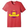Unisex Triblend Tee (same day) Thumbnail