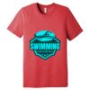 Unisex Triblend Tee (same day) Thumbnail