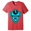 Unisex Triblend Tee (same day) Thumbnail