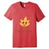 Unisex Triblend Tee (same day) Thumbnail