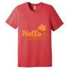 Unisex Triblend Tee (same day) Thumbnail