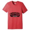 Unisex Triblend Tee (same day) Thumbnail