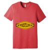 Unisex Triblend Tee (same day) Thumbnail