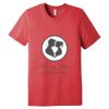 Unisex Triblend Tee (same day) Thumbnail