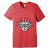 Unisex Triblend Tee (same day) Thumbnail