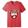 Unisex Triblend Tee (same day) Thumbnail