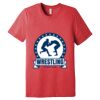 Unisex Triblend Tee (same day) Thumbnail