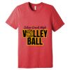 Unisex Triblend Tee (same day) Thumbnail