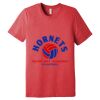 Unisex Triblend Tee (same day) Thumbnail