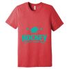 Unisex Triblend Tee (same day) Thumbnail