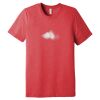 Unisex Triblend Tee (same day) Thumbnail