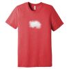 Unisex Triblend Tee (same day) Thumbnail