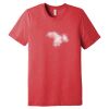 Unisex Triblend Tee (same day) Thumbnail