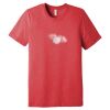 Unisex Triblend Tee (same day) Thumbnail