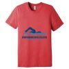 Unisex Triblend Tee (same day) Thumbnail