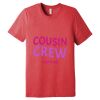 Unisex Triblend Tee (same day) Thumbnail
