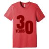 Unisex Triblend Tee (same day) Thumbnail