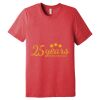 Unisex Triblend Tee (same day) Thumbnail