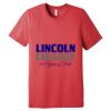 Unisex Triblend Tee (same day) Thumbnail