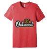Unisex Triblend Tee (same day) Thumbnail