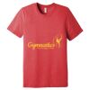 Unisex Triblend Tee (same day) Thumbnail
