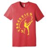Unisex Triblend Tee (same day) Thumbnail