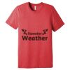 Unisex Triblend Tee (same day) Thumbnail